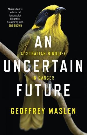 Cover of the book An Uncertain Future by Brenda Aloff