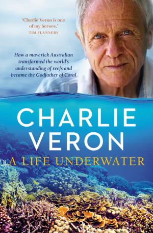 Cover of the book A Life Underwater by Robert Newton