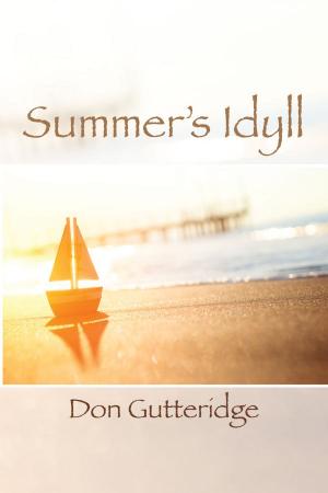 Book cover of Summer's Idyll