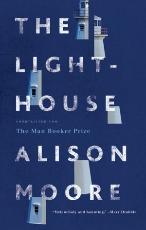 Cover of the book The Lighthouse by Joshua Glenn