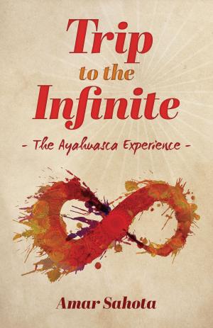 Cover of the book Trip to the Infinite by Arvin da Brgha