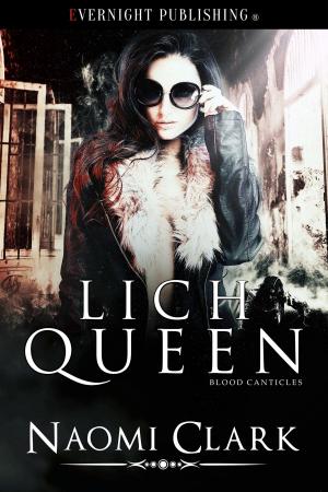 Cover of the book Lich Queen by Robin Badillo