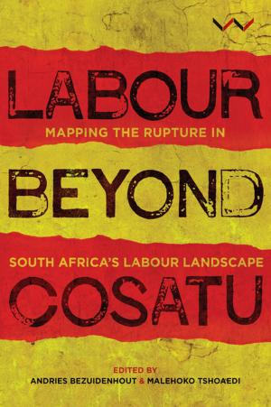 Book cover of Labour Beyond Cosatu