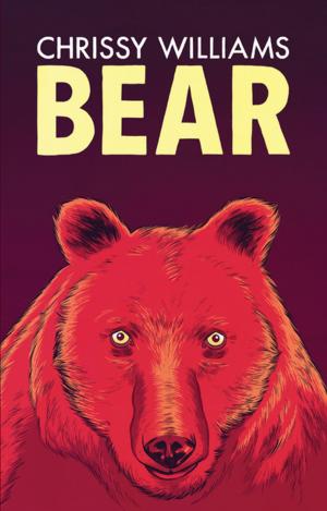Cover of the book Bear by Rita Ann Higgins