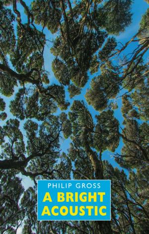 Cover of the book A Bright Acoustic by Philip Gross