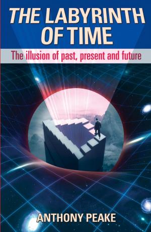 Cover of the book The Labyrinth of Time by Brian Busby