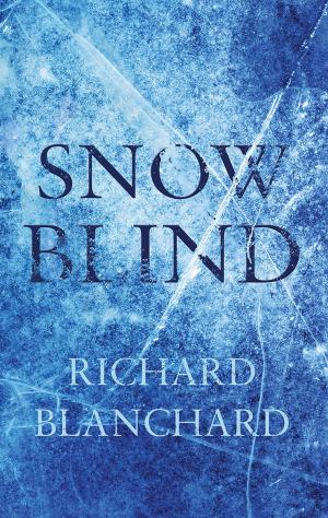 Cover of the book Snow Blind by Mary O’Meara