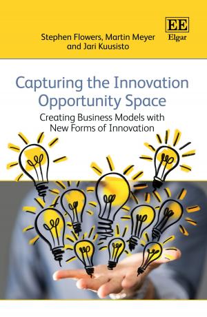 Cover of the book Capturing the Innovation Opportunity Space by Eli Lederman
