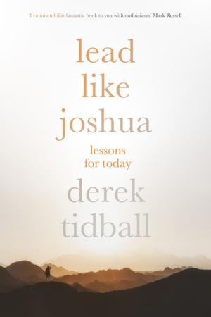 Book cover of Lead Like Joshua