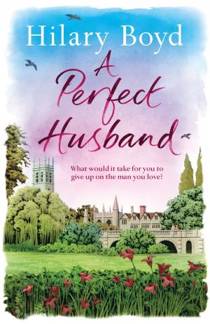 Cover of the book A Perfect Husband by Tracey Alvarez