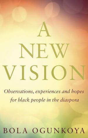 Cover of the book A New Vision by R. B. Maxwell