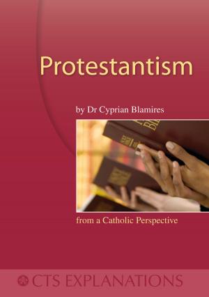 Cover of the book Protestantism by Rev Daniel Considine, SJ