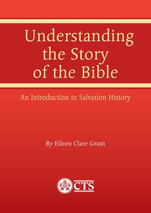 Cover of the book Understanding the Story of the Bible by Dr Pravin Thevathasan