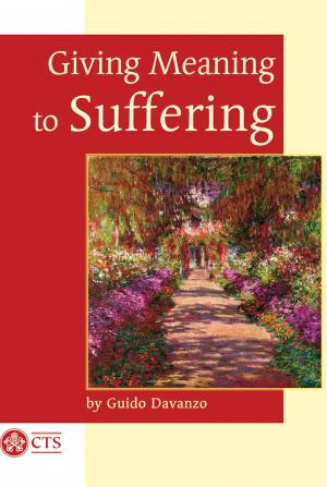 Cover of the book Giving Meaning to Suffering by Jim Gallagher