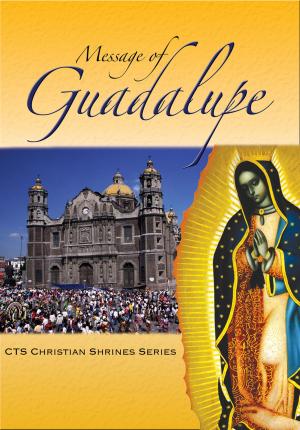 Cover of the book Message of Guadalupe by Fr Edward Tomlinson