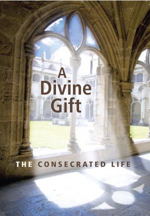 Cover of the book A Divine Gift by Fr Jude Winkler, OFM