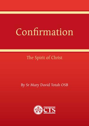 Cover of the book Confirmation by Fr Nicholas Schofield