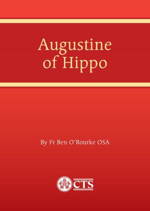 Cover of the book Augustine of Hippo by LaMarr Darnell Shields, Marina V. Gillmore