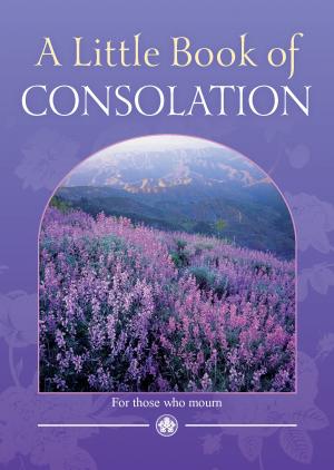 Cover of the book Little Book of Consolation by Alvaro de Silva
