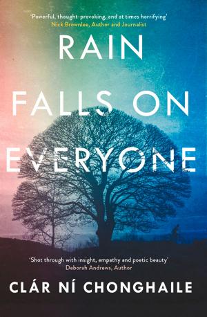 Cover of the book Rain Falls on Everyone by Jane Isaac