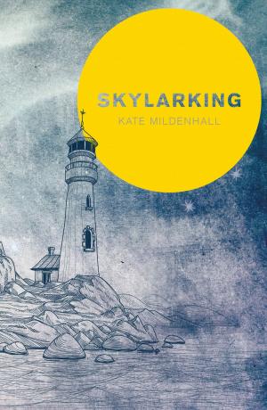 Cover of the book Skylarking by Clár Ní Chonghaile