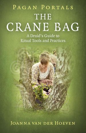 Cover of the book Pagan Portals: The Crane Bag by Teresa Erickson, Tim Ward