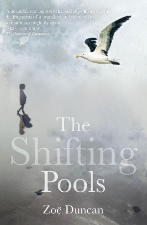 bigCover of the book Shifting Pools by 