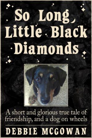 Cover of the book So Long, Little Black Diamonds by J P Walker