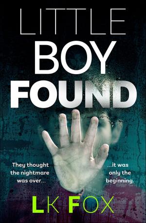 Book cover of Little Boy Found