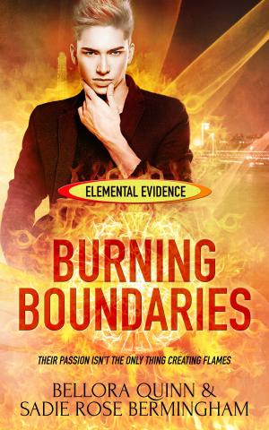 Cover of the book Burning Boundaries by Lizzie Lynn Lee