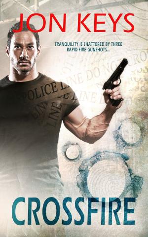 Cover of the book Crossfire by Pamela L. Todd