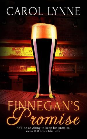 Cover of the book Finnegan’s Promise by Chris White