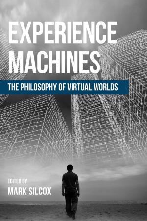 Cover of the book Experience Machines by Frieder Vogelmann