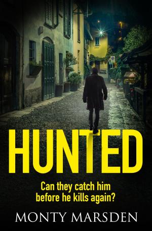 Cover of the book Hunted by Jane Lythell