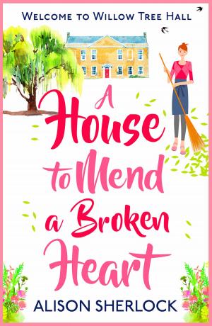 bigCover of the book A House to Mend a Broken Heart by 