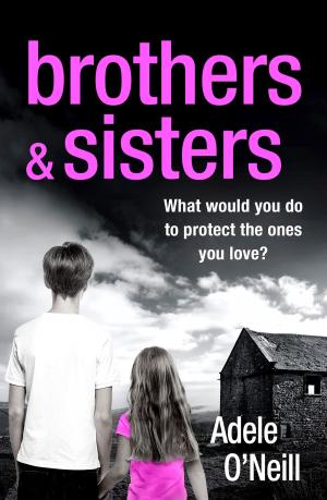 Cover of the book Brothers & Sisters by Meg Hutchinson