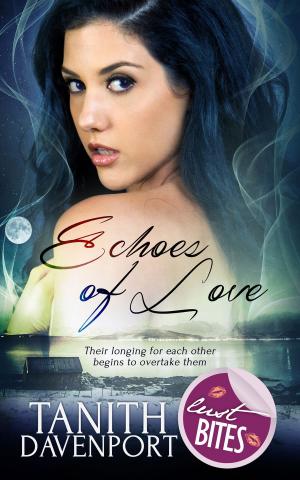 Cover of the book Echoes of Love by K.  Evan Coles, Brigham Vaughn