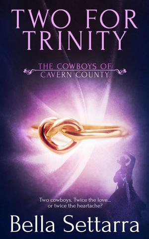 Cover of the book Two for Trinity by Cheyenne Meadows