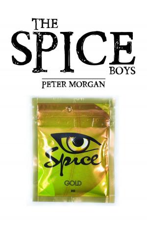 Cover of the book The Spice Boys by Mark Carnelley