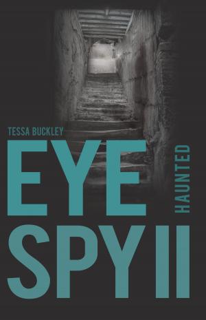 Book cover of Eye Spy II
