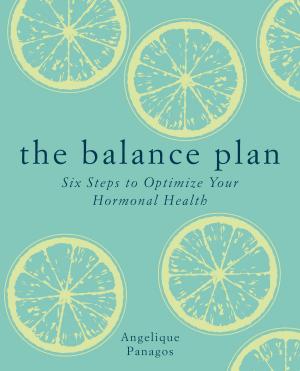 Book cover of The Balance Plan