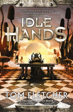 Cover of the book Idle Hands by Donna M. Stringer, Patricia A. Cassiday
