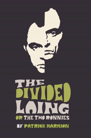 Cover of the book The Divided Laing by Avi Sirlin