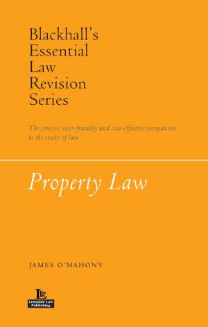 Cover of the book Property Law by Nuno Mendes