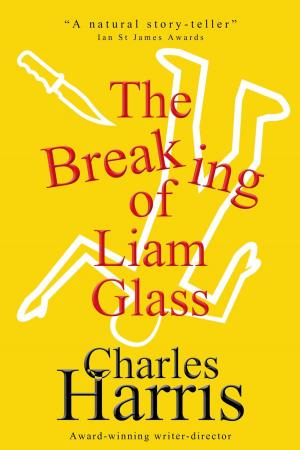 Cover of the book The Breaking of Liam Glass by R. A. Barnes