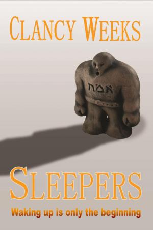 Cover of the book Sleepers by Chris Hawley