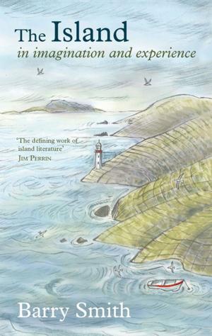 Cover of the book The Island in Imagination and Experience by Laura Marney