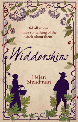 Cover of the book Widdershins by Tracey Warr