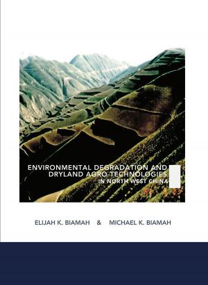 Cover of the book Environmental Degradation and Dryland Agro-Technologies in Northwest China by TruthBeTold Ministry, Joern Andre Halseth, Hermann Menge