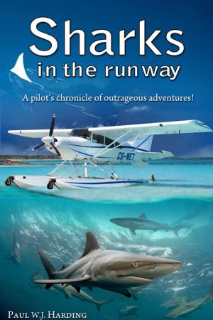Cover of the book Sharks in the Runway by P. G. Ronane